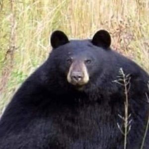 Meet your Posher, Kelsea